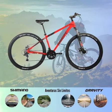 BICICLETA GRAVITY ROD 29